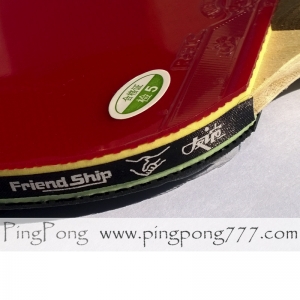 729 Friendship FS 4 Star – Table Tennis Bat