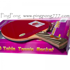 729 Friendship RITC 2060 – Table Tennis Bat