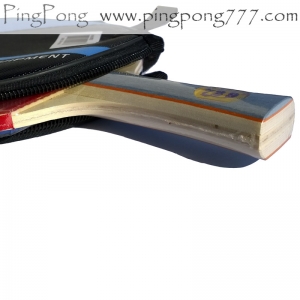 729 Freindship 1040 – Table Tennis Bat