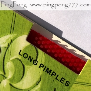 GIANT DRAGON Crop Сircles – long pimples