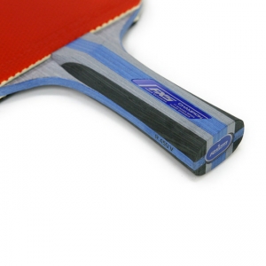 CHAMPION R 450 Table Tennis Bat