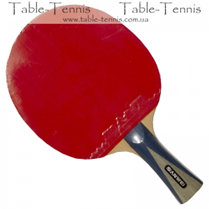 SANWEI 502 Carbon Table Tennis Bat