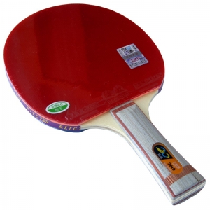 729 2010 Table Tennis Bat