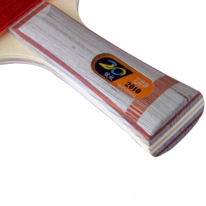 729 2010 Table Tennis Bat