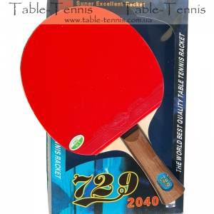 729 2040 – Table Tennis Racket