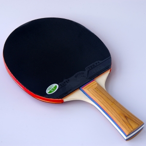 729 Friendship RITC 1020 Table Tennis Bat