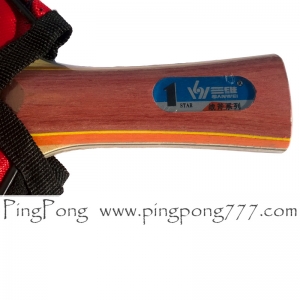 SANWEI 198 1 Stars - Table Tennis Bat