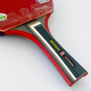 729 Young 2010s Table Tennis Bat
