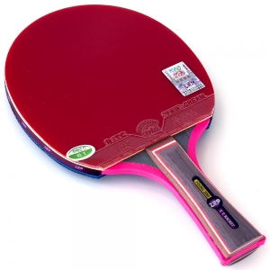 729 Young 2060s – Table Tennis Bat