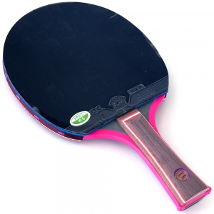 729 Young 2060s – Table Tennis Bat