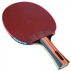 SANWEI TAIJI 810 - ракетка для настольного тенниса