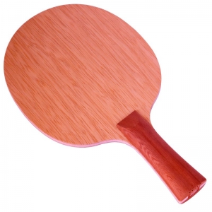 Yinhe T-11s Carbon Light – Table Tennis Blade