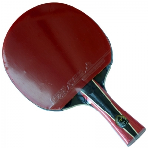 Boer 4 Stars Table Tennis Bat