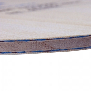 729 Blue Arylate Carbon
