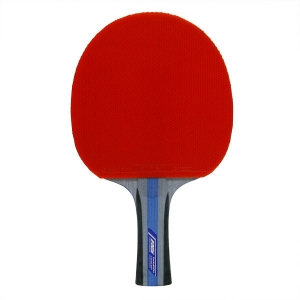 CHAMPION R 450 Table Tennis Bat