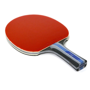 CHAMPION R 480 Table Tennis Bat