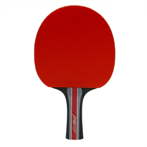 CHAMPION R 490 Table Tennis Bat