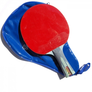 GIANT DRAGON Sebenza 7 star ракетка для настольного тенниса