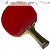 YINHE (Milky Way) 06B – Table Tennis Bat