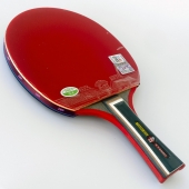 729 Young 2010s Table Tennis Bat