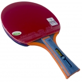 729 Young 2020s Table Tennis Bat