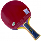 729 Young 2040s Table Tennis Bat