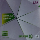 729 Cross Green
