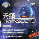 729-2 Transcend