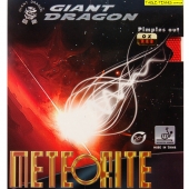 GIANT DRAGON Meteorite OX